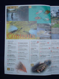 Fly Fishing and Fly tying - Nov 2008 - Grayling focus