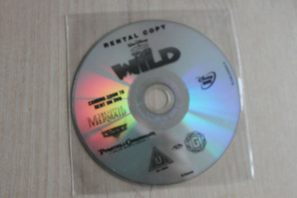 The Wild - Film - DVD - Disc only