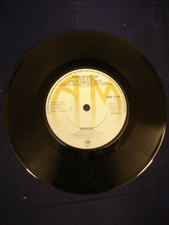 7'' Vinyl Single -  Squeeze ‎– Labelled With Love - AMS 8166