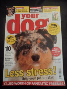 Your Dog Magazine - April 2015 - Whippet - Help your dog relax