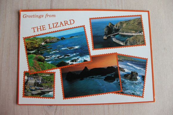 Postcard - The Lizard - 703